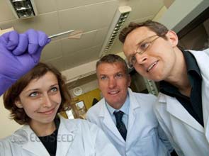 Gold used in cheap electrodes for organic solar cells