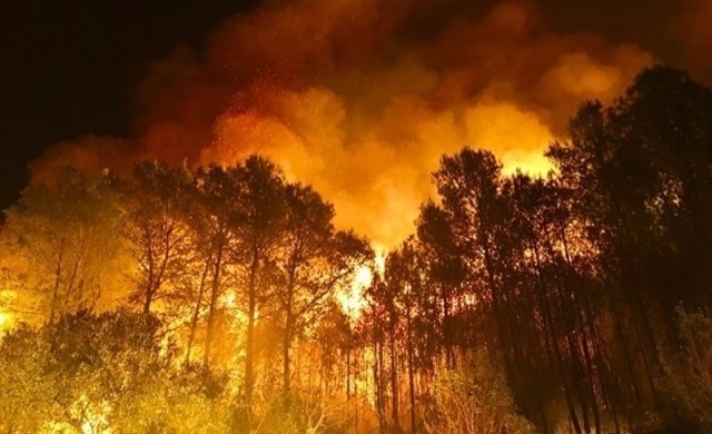 La Generalitat Valenciana avanza la campaña contra incendios antes de Semana Santa