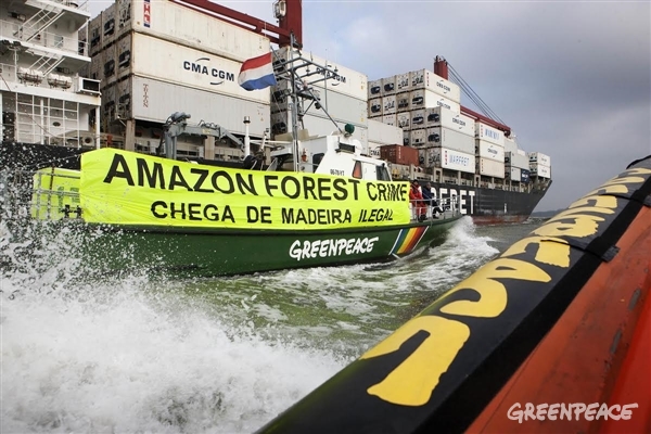 Medio Ambiente ‘pasa’ de combatir el comercio de madera ilegal