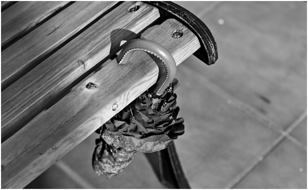 Cambio climático: ¡qué llueva