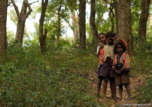La diversidad étnica y religiosa de un país afecta a su medio ambiente