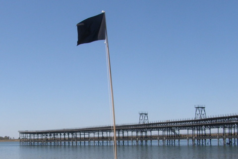 Ecologistas en Acción erige 79 banderas negras y 12 puntos negros en las playas españolas