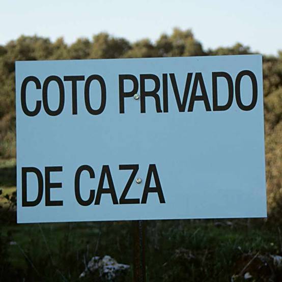 Junta de Castilla – La Mancha se personará en la causa sobre cotos de caza  y expedienta a los funcionarios detenidos