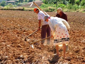A la zaga en apoyo a agricultura familiar y campesina en República Dominicana