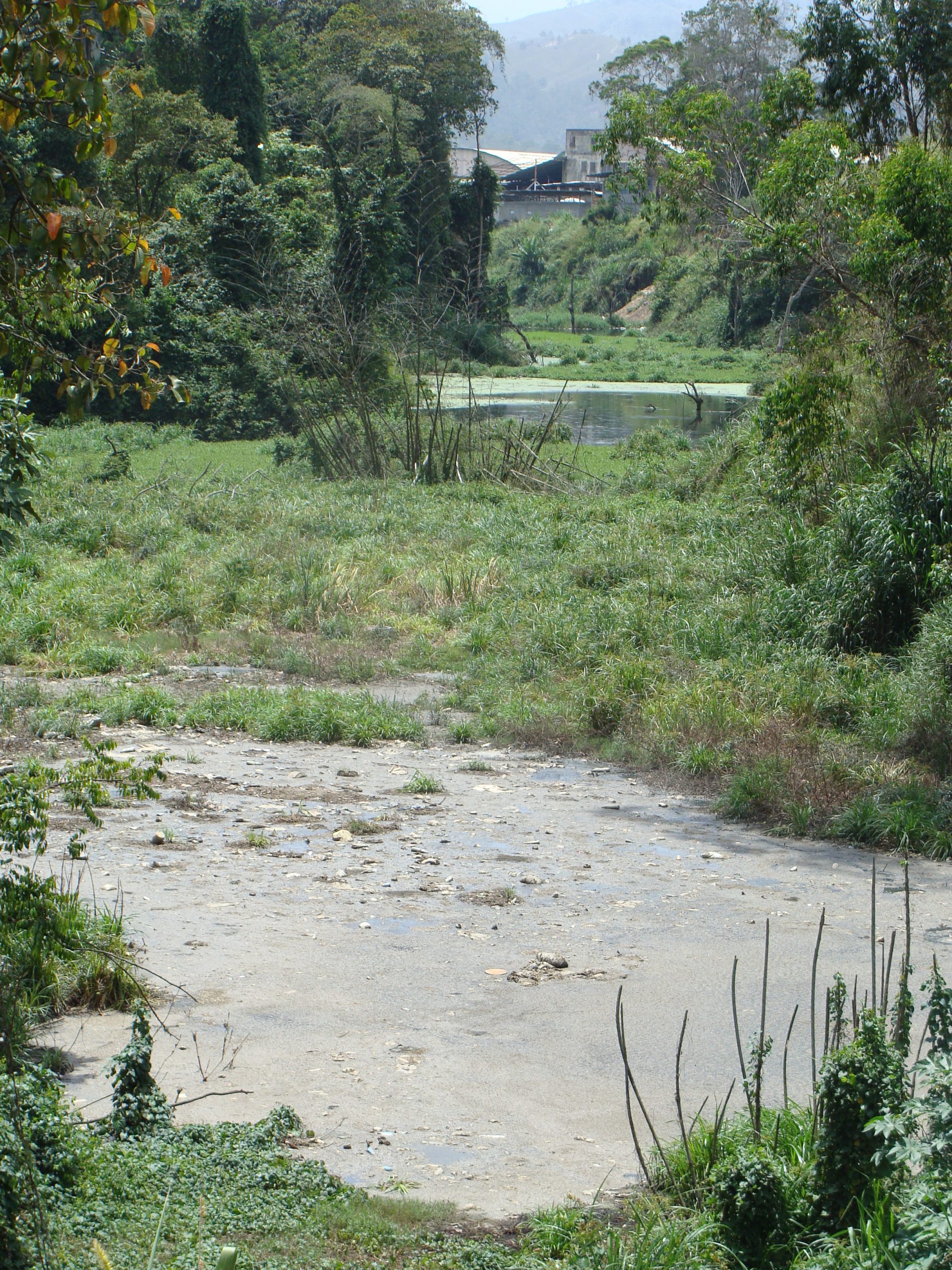 Ambiente Miranda promueve saneamiento de la laguna El Váquiro