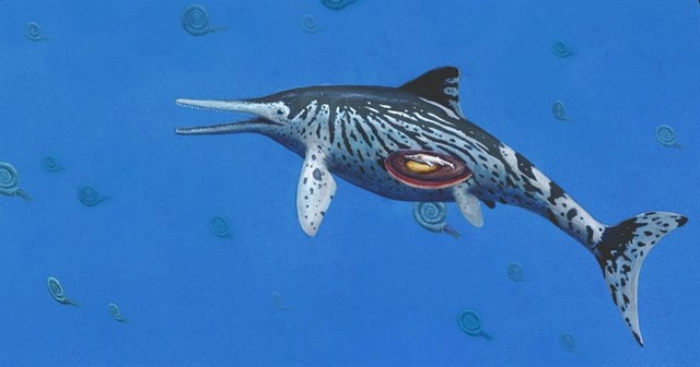 El Ichthyosaurus más grande encontrado es una hembra que estaba embarazada