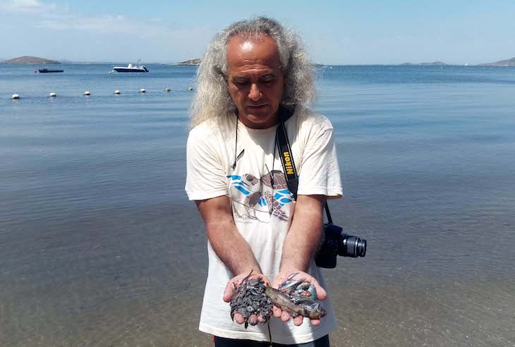 Miles de peces y crustáceos ‘muertos’ en el Mar Menor