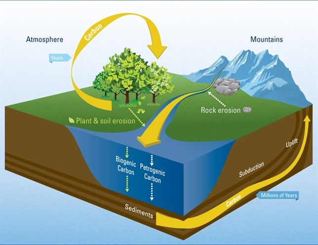 Los ríos anegan de carbono a los océanos