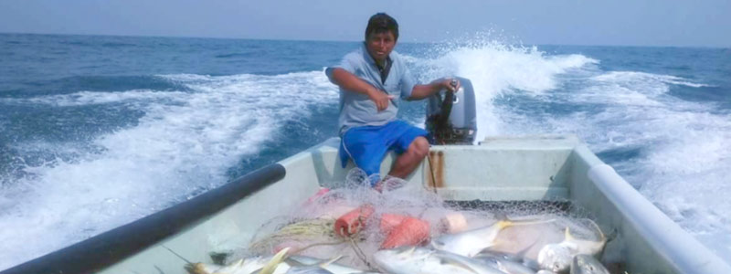 Conoce al oceanólogo contra especies invasoras mexicano