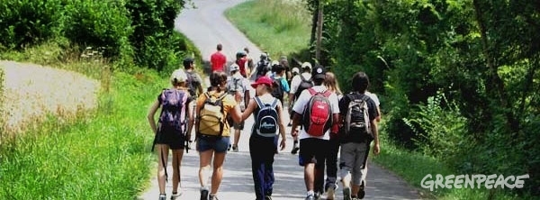 Por qué ir a los campamentos Greenpeace