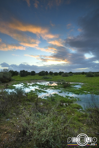 Martín resalta la voluntad política e implicación social en la recuperación ambiental de los humedales