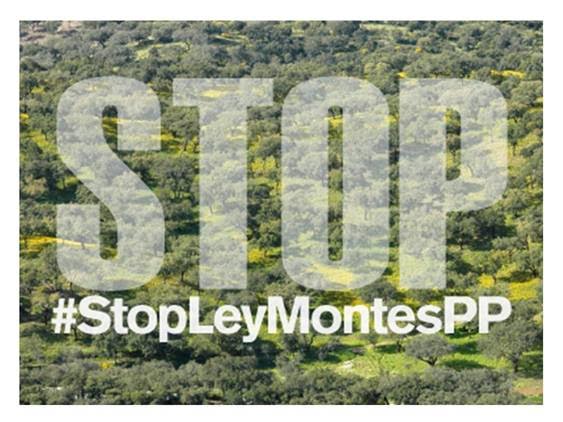La nueva Ley de Montes:  una oportunidad aprovechada solo a medias