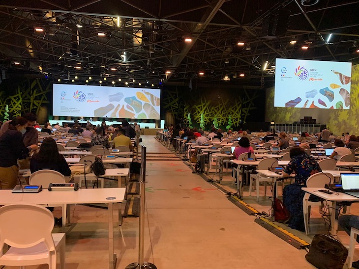 Sonia Castañeda consejera regional europea del Consejo de la UICN