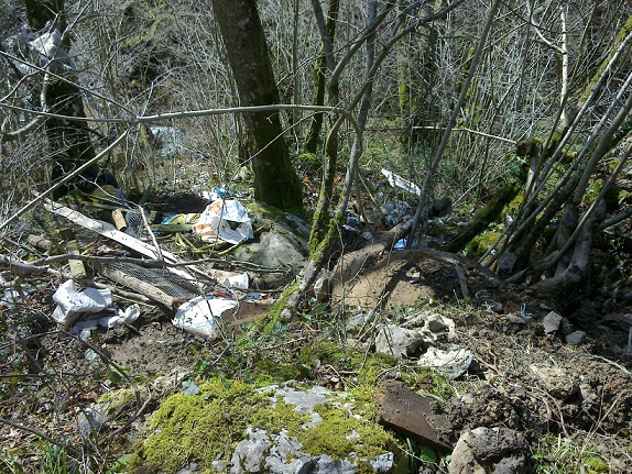 Asturias. Un nuevo vertedero en Laviana hasta con una vaca en descomposición