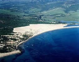 Ciberacción masiva el martes con Salvemos Valdevaqueros