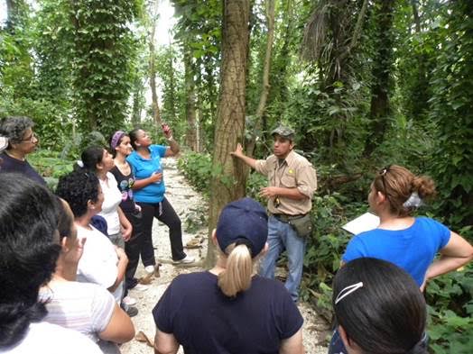 Te has planteado trabajar en la educación ambiental Pues toma nota de este máster