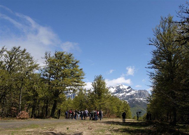 El Gobierno establece tres listas patrones de especies terrestres y marinas en el Inventario de Patrimonio Natural