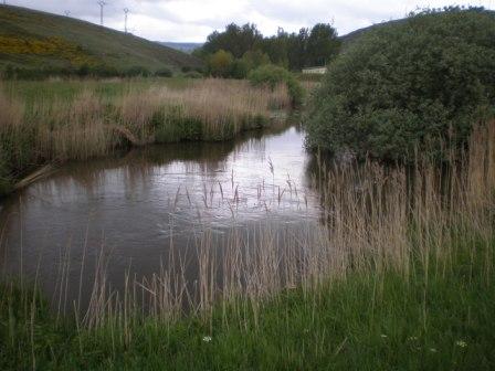 El proceso de participación pública en el río Camesa se plasma en 24 propuestas de mejora