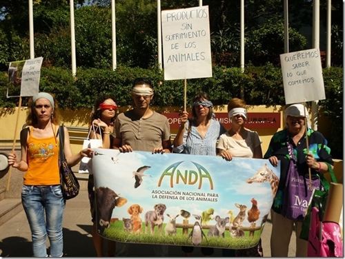 ANDA pide a la Comisión Europea que impulse un sistema de etiquetado que informe al consumidor sobre el bienestar animal