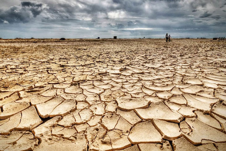 Colombia y RU ‘unidas’ contra la crisis climatica