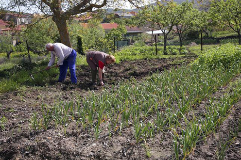 Andalucía fomentará entre los mayores la participación activa en la gestión del medio ambiente