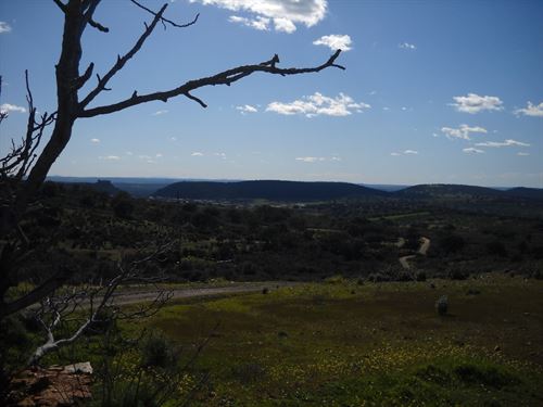 La absurda ley de montes sigue limitando a los agentes forestales