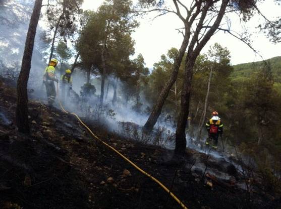 Bajo control un incendio forestal en la Sierra de la Tercia (Totana)