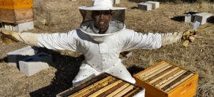 Abeja: Tú eres mi reina