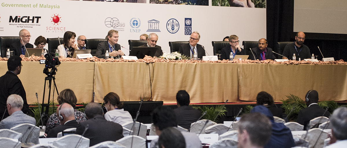 Modelos matemáticos para evaluar la eficacia de las políticas ambientales