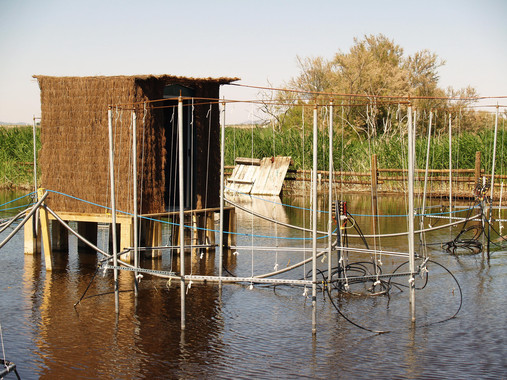 Miden por primera vez el impacto del cambio global en los humedales
