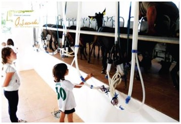 Las mejores actividades de agroturismo de la mano de ‘El Cantero de Letur’.