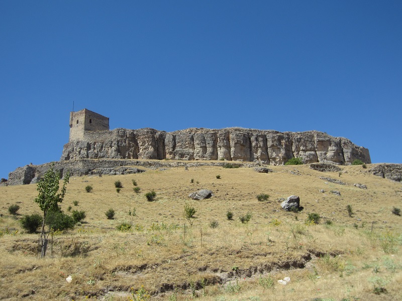 Día Internacional contra la Desertificación
