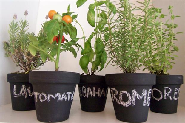 Segundo Encuentro Nacional de Huerteros Urbanos