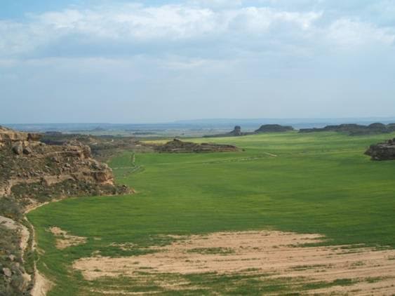 Los Monegros y el ‘Día Mundial del Medio Ambiente’