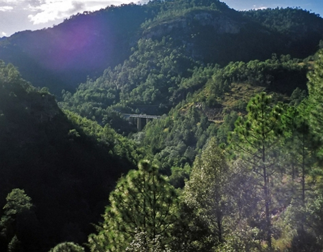 Anuncian proyecto para promover la conservación de la biodiversidad en la sierra Tarahumara