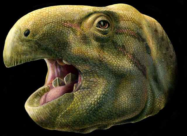 Descubierto en Francia un dinosaurio con dientes en forma de tijeras