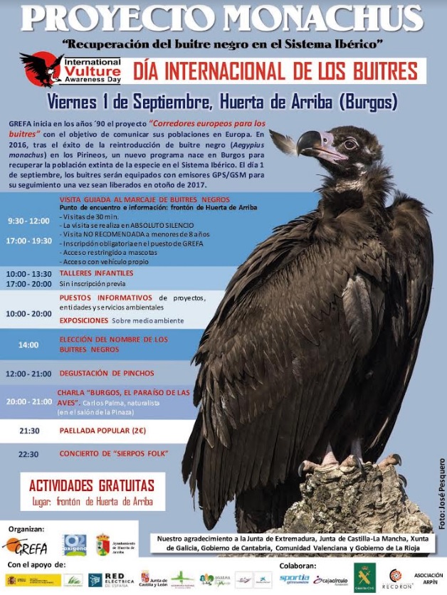 Quince buitres negros serán provistos de emisores GPS para su seguimiento científico