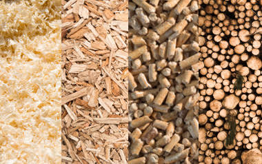 Curso de Energía de la Biomasa