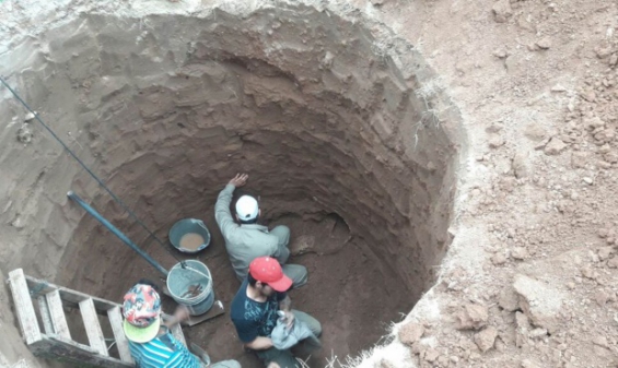 Argentina. Habrían hallado restos de un gliptodonte en Santiago del Estero