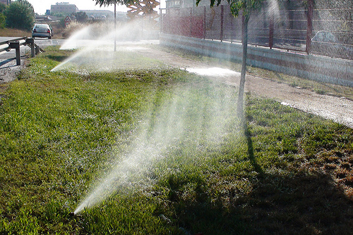 Un ingeniero agrónomo implanta un sistema de riego inteligente que ahorra un 60 por ciento de agua en Tous (Valencia)