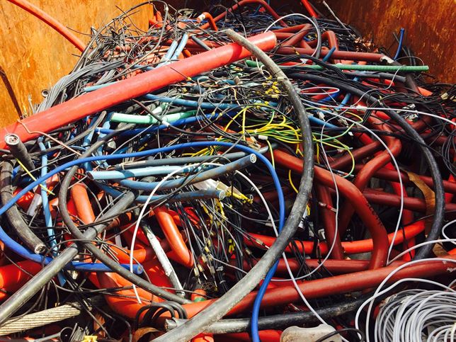 Endesa retira 473 toneladas de residuos en Lleida