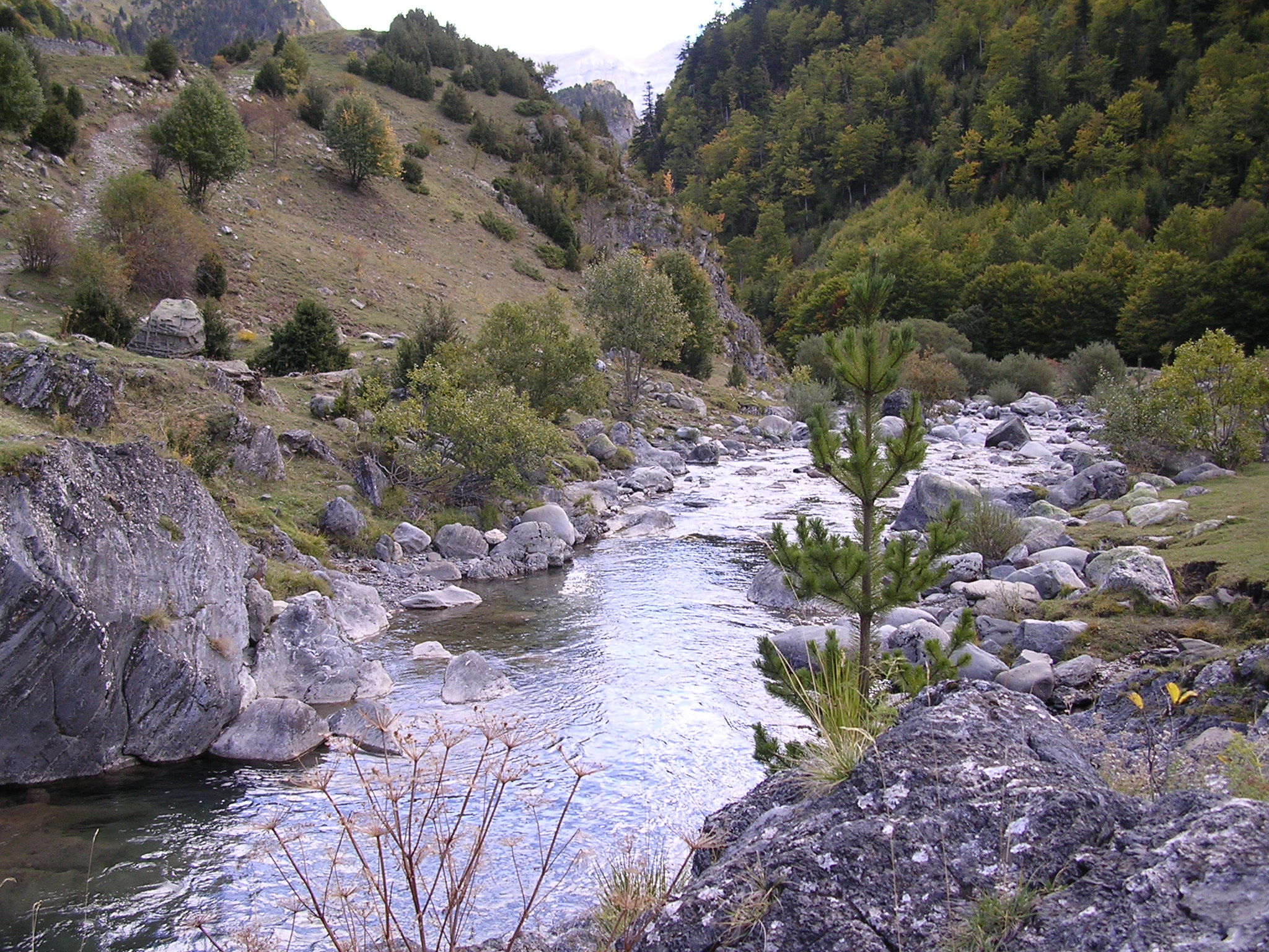 La CHE finaliza el acondicionamiento de un parque en la margen derecha del río Ara en Fiscal (Huesca)