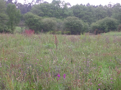 Asturias. La quema de residuos es un delito ambiental