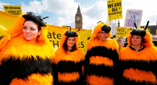 ABEJAS Prohibición de pesticidas
