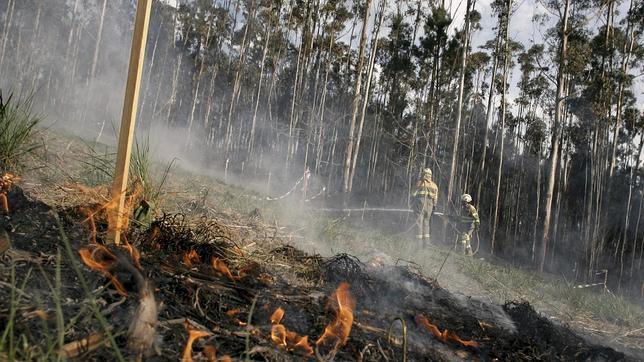 180 hectáreas arboladas quemadas en el municipio pontevedrés de Ponteareas