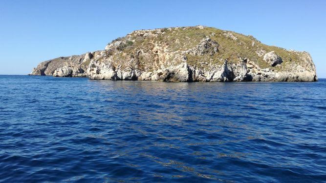 Las Islas Malgrats se mantienen libres de ratas