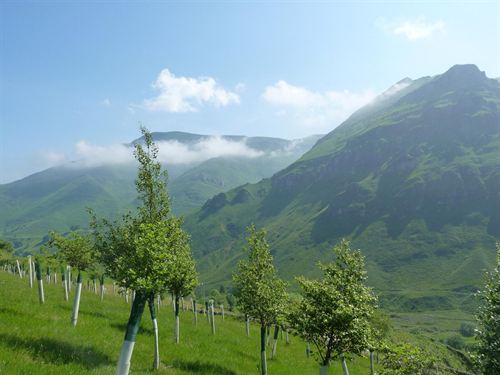 Fundación Naturaleza y Hombre y Fundación Iberdrola promueven proyectos contra el cambio climático en zonas de montaña