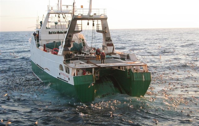 Expertos piden cumplir las resoluciones de la ONU para proteger ecosistemas marinos