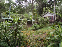 Vas a viajar a América Latina ¡Encuentra tu alojamiento sostenible!