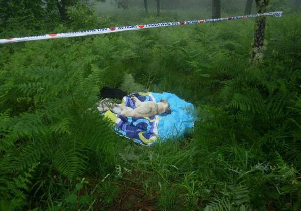 La Guardia Civil detiene a un ‘vandalo’ por golpear varias veces con una azada a su perro mastín